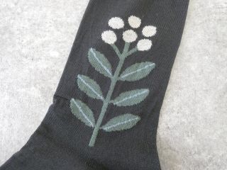 French Bull(フレンチブル) レポソックスの商品画像48