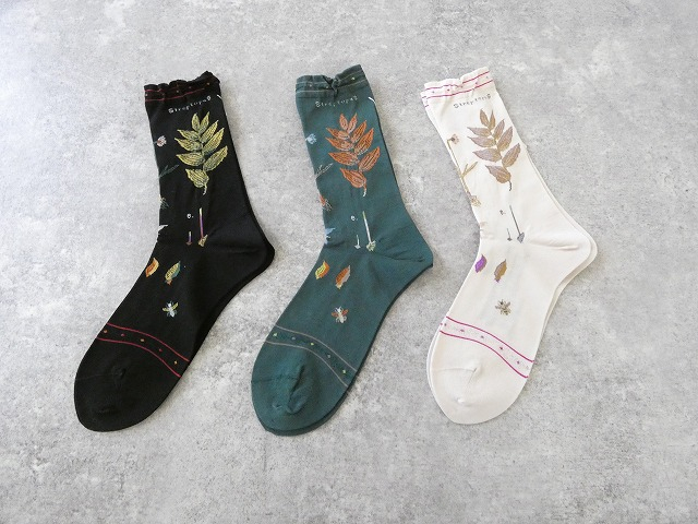 ANTIPAST(アンティパスト) BOTANICAL ⅩⅦ SOCKS　ボタニカルⅩⅦソックスの商品画像1