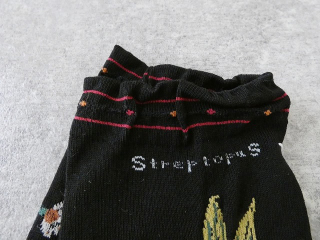 ANTIPAST(アンティパスト) BOTANICAL ⅩⅦ SOCKS　ボタニカルⅩⅦソックスの商品画像32