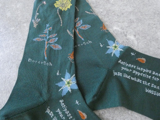 ANTIPAST(アンティパスト) BOTANICAL ⅩⅦ SOCKS　ボタニカルⅩⅦソックスの商品画像45