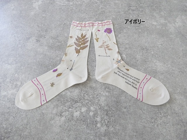 ANTIPAST(アンティパスト) BOTANICAL ⅩⅦ SOCKS　ボタニカルⅩⅦソックスの商品画像56