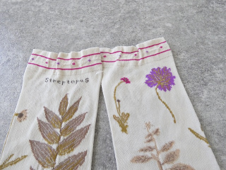 ANTIPAST(アンティパスト) BOTANICAL ⅩⅦ SOCKS　ボタニカルⅩⅦソックスの商品画像60
