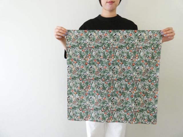 R&D.M.Co-(オールドマンズテーラー) WILD BERRY FIELD LAWN BANDANAの商品画像1