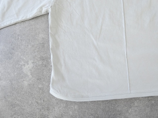 PACIFIC PARK STORE(パシフィックパークストア) ヘムラウンドプリントTee 12RAFT TOURS GOの商品画像63