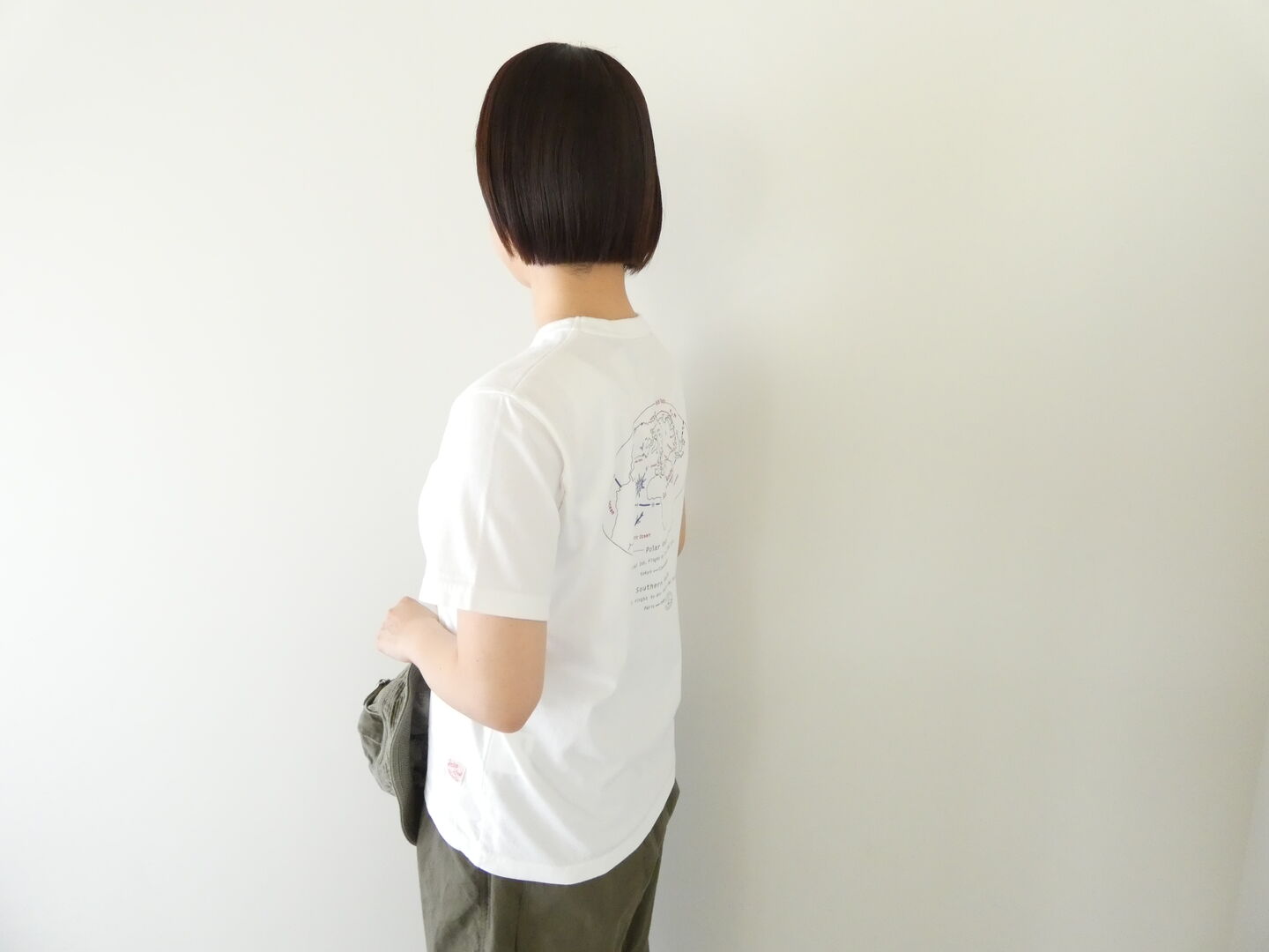 快晴堂(かいせいどう) 半袖UNI-Tシャツ  ロゴT Around the World　C柄「ポーラールート/サザンルート」BASIC FIT-sizeの商品画像5