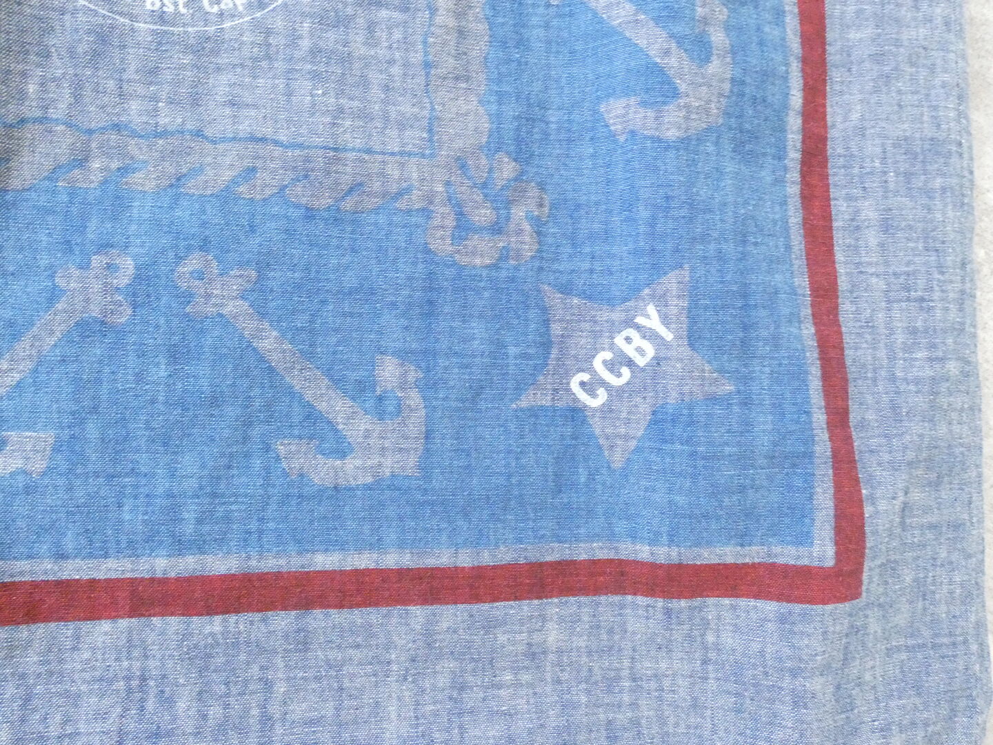 快晴堂(かいせいどう) Girls カロハプリントCCBY柄　カロハパンツの商品画像23