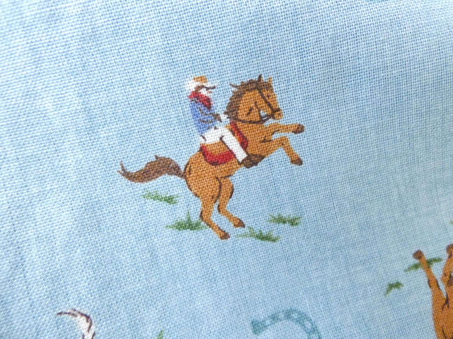 vb カウボーイプリントワイドパンツの商品画像26