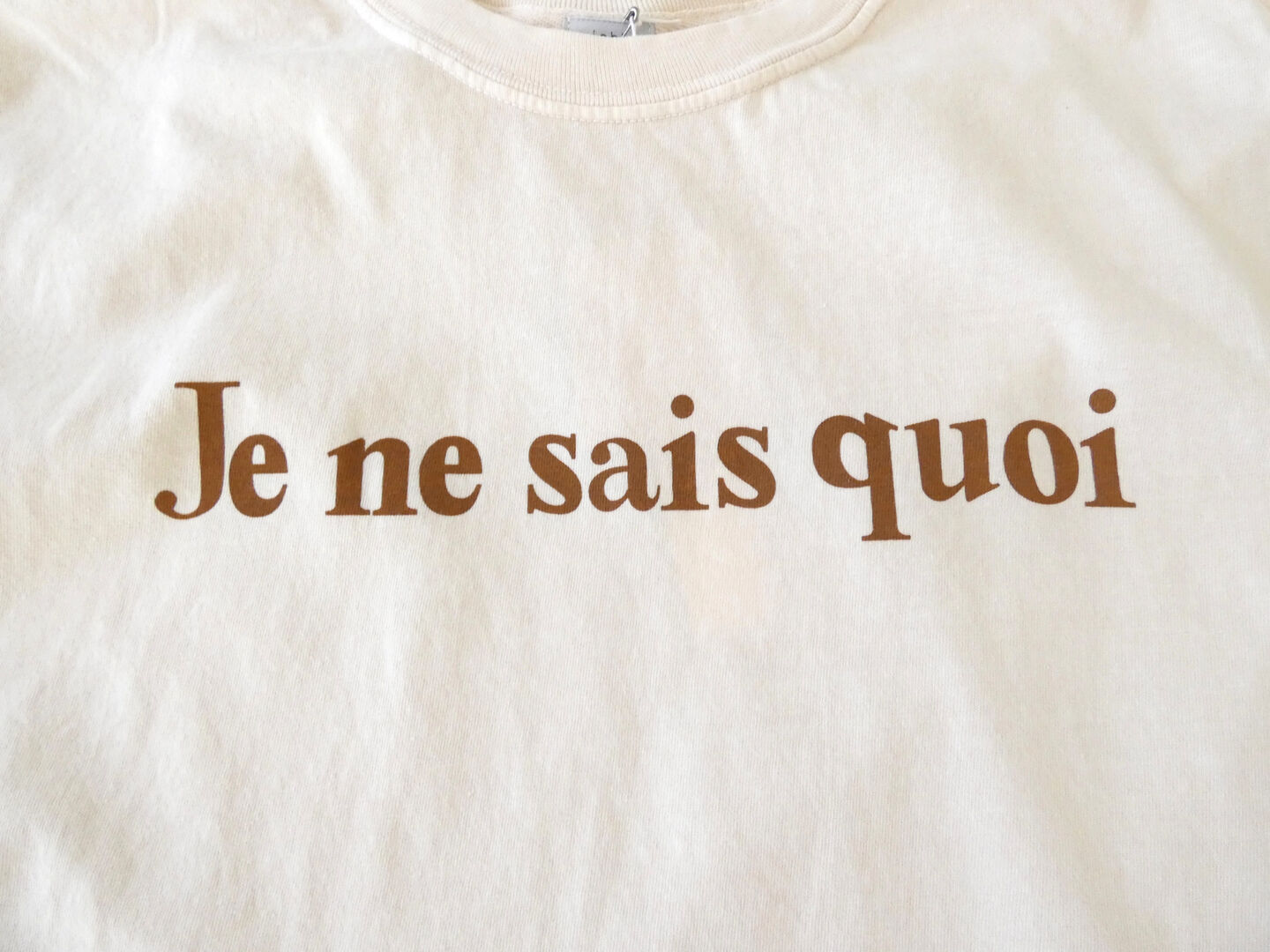 ichi(イチ) ピグメント T-shirt Je ne sais quoiの商品画像20