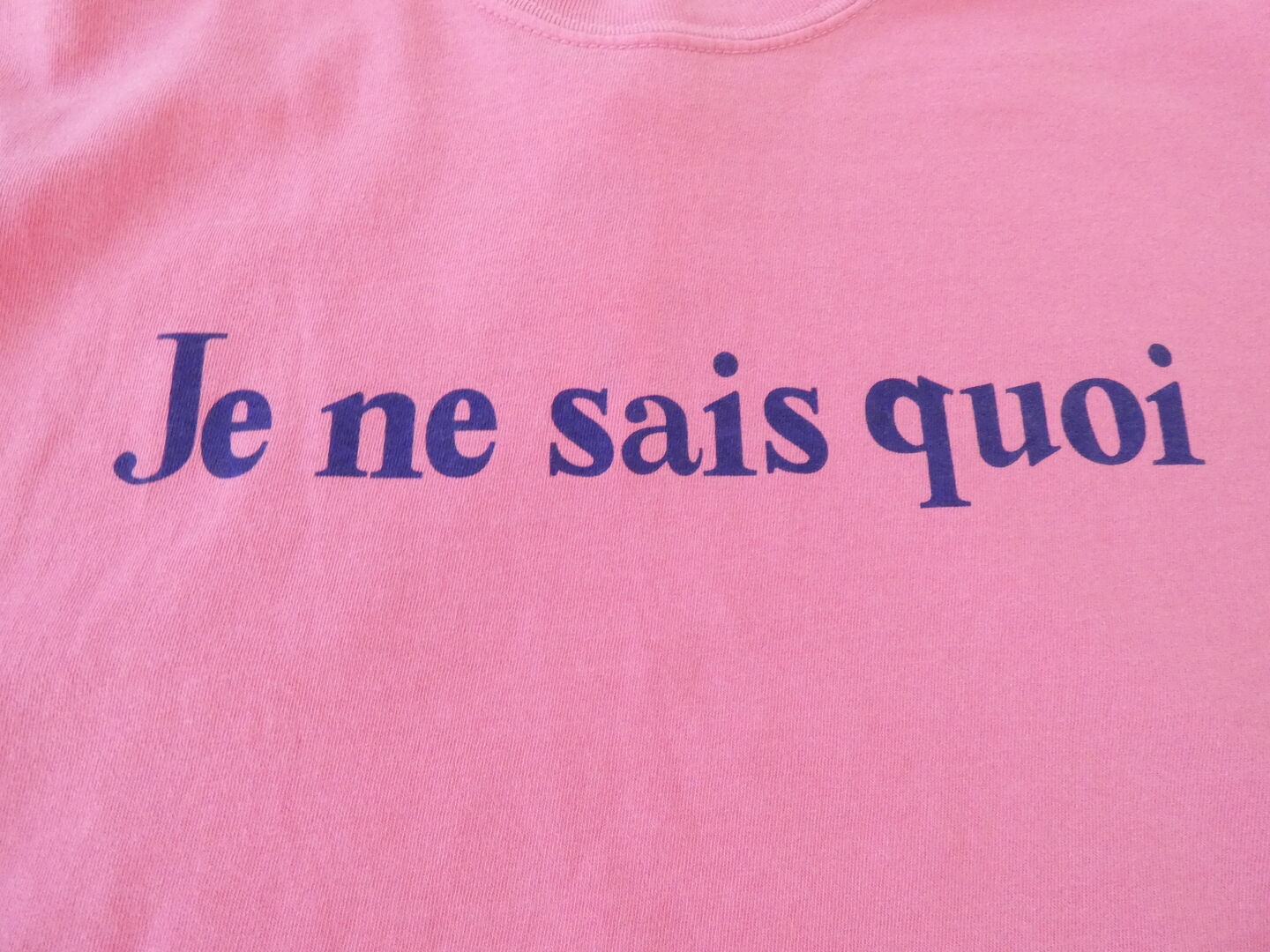 ichi(イチ) ピグメント T-shirt Je ne sais quoiの商品画像45