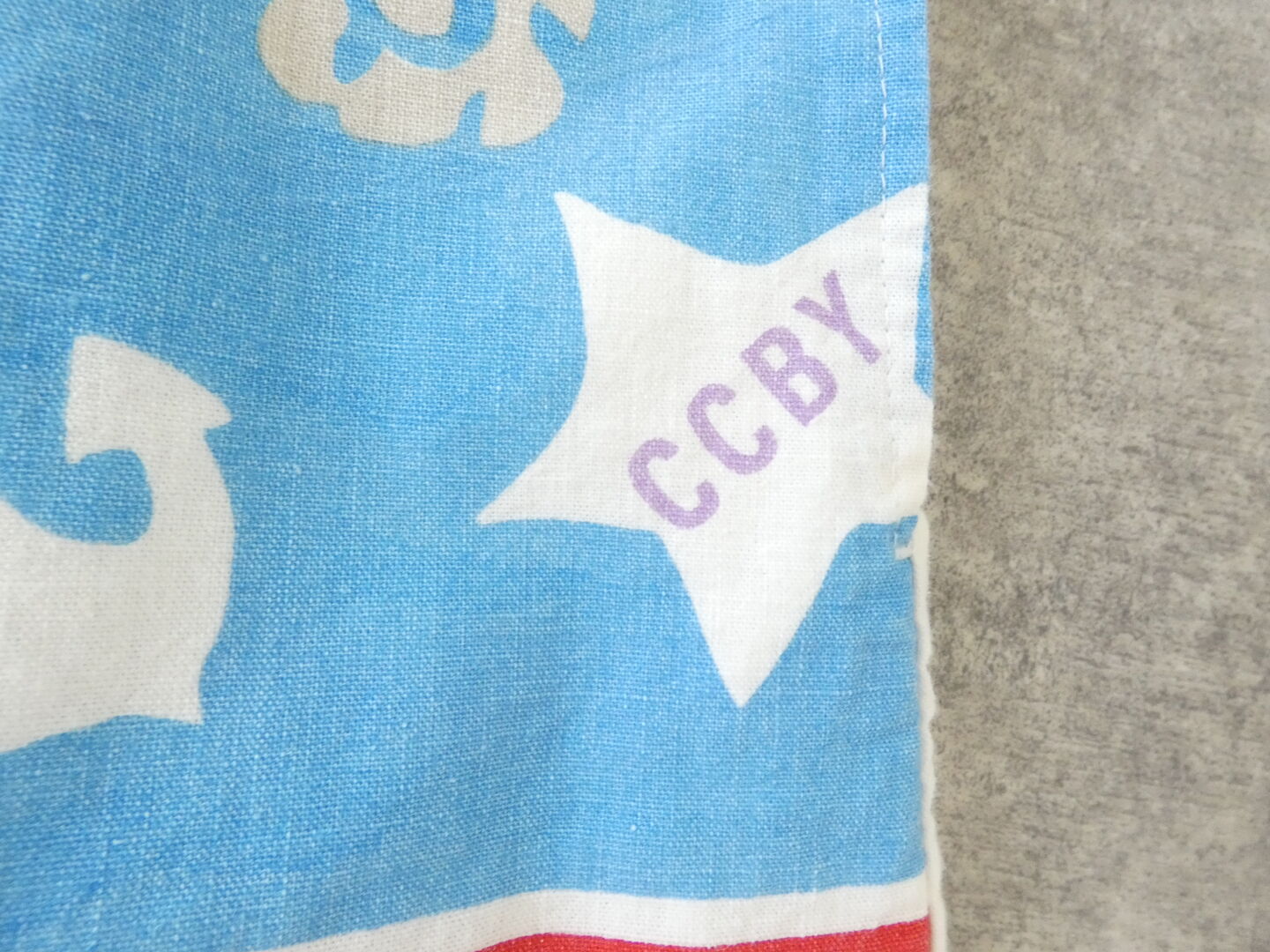 快晴堂(かいせいどう) Girl's カロハプリントCCBY柄 Wide Tシャツの商品画像29