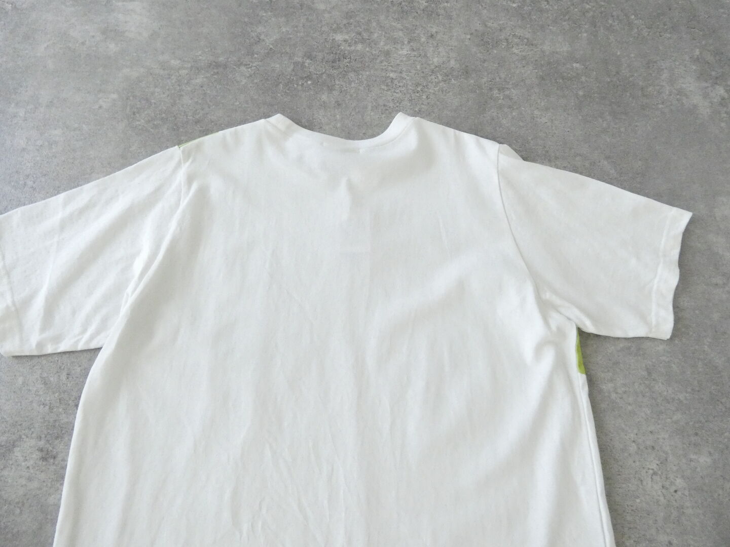 NATURAL LAUNDRY(ナチュラルランドリー) 空紡天竺リンゴプリント半袖Tシャツの商品画像30