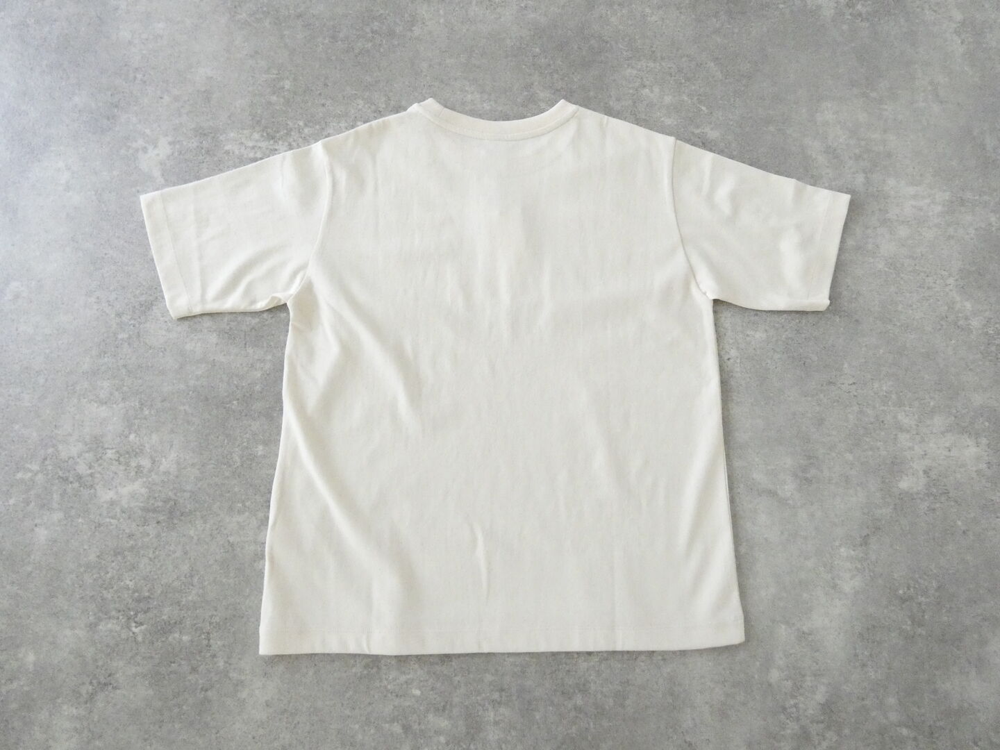 PARADIS(パラディ) ドライコットン天竺プリントTの商品画像29