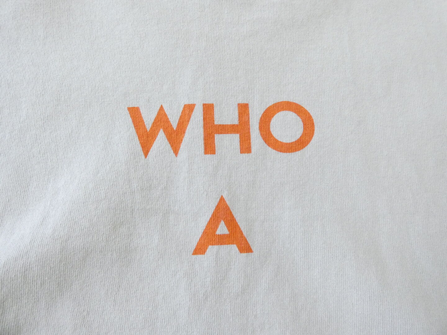 PACIFIC PARK STORE(パシフィックパークストア) 天竺ベーシックプリントTee　WHO Aの商品画像32