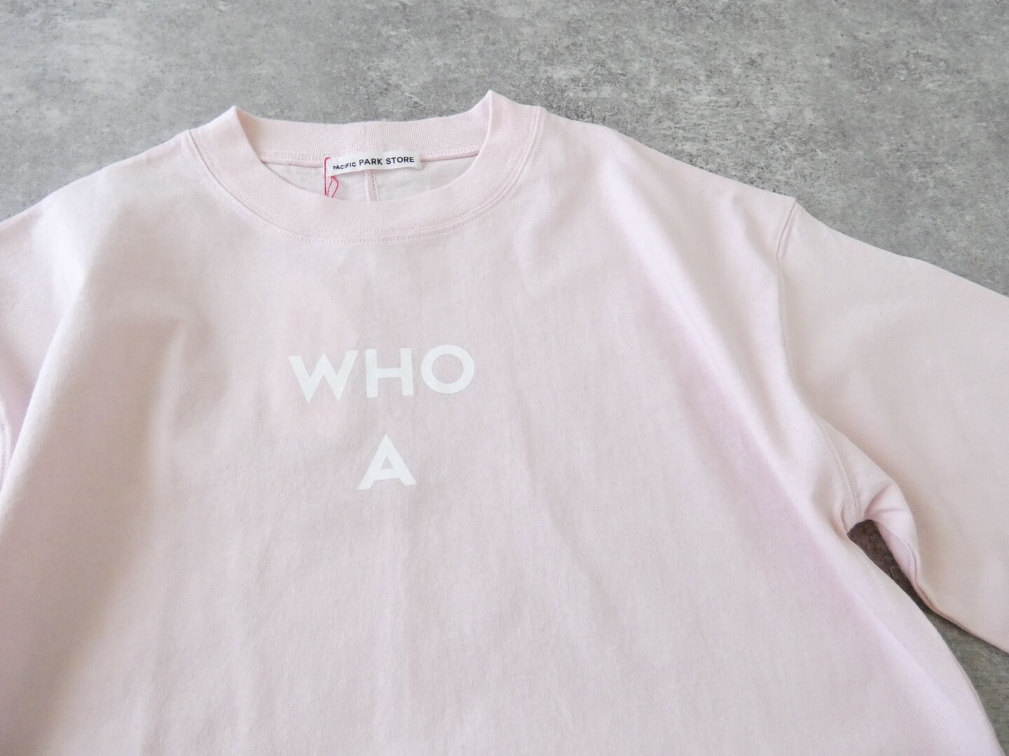 PACIFIC PARK STORE(パシフィックパークストア) 天竺ベーシックプリントTee　WHO Aの商品画像44