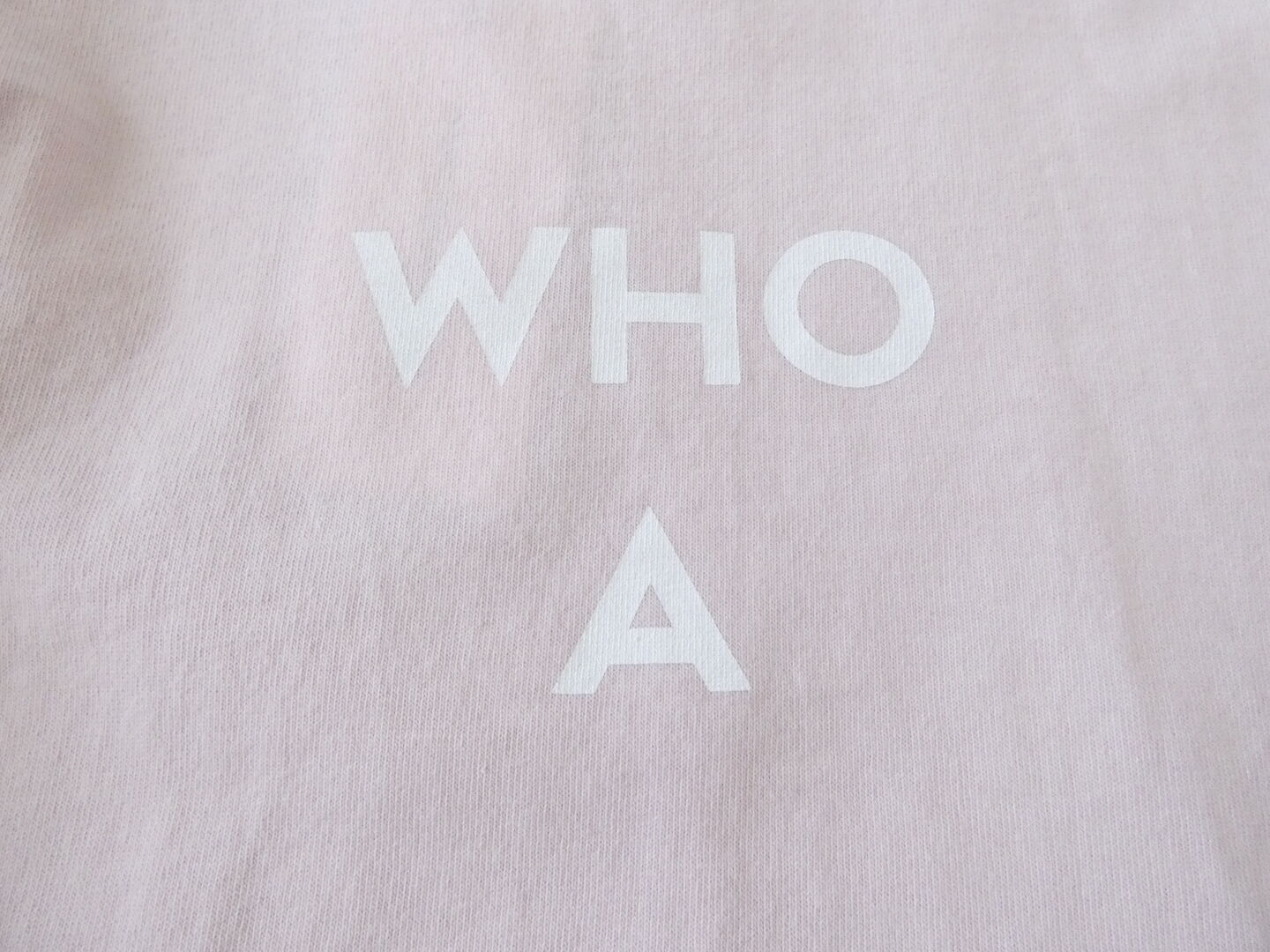 PACIFIC PARK STORE(パシフィックパークストア) 天竺ベーシックプリントTee　WHO Aの商品画像45