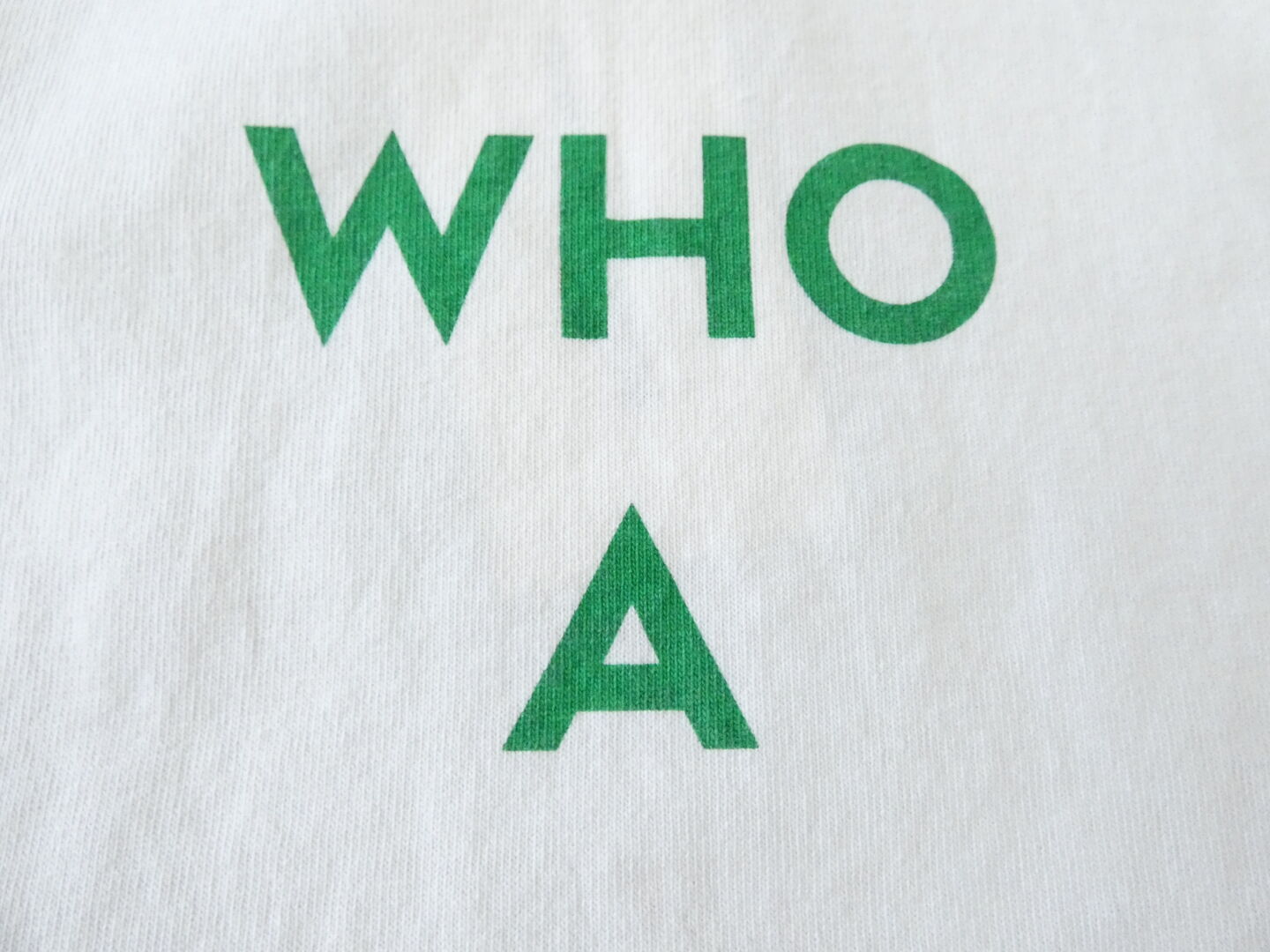 PACIFIC PARK STORE(パシフィックパークストア) 天竺ベーシックプリントTee　WHO Aの商品画像59