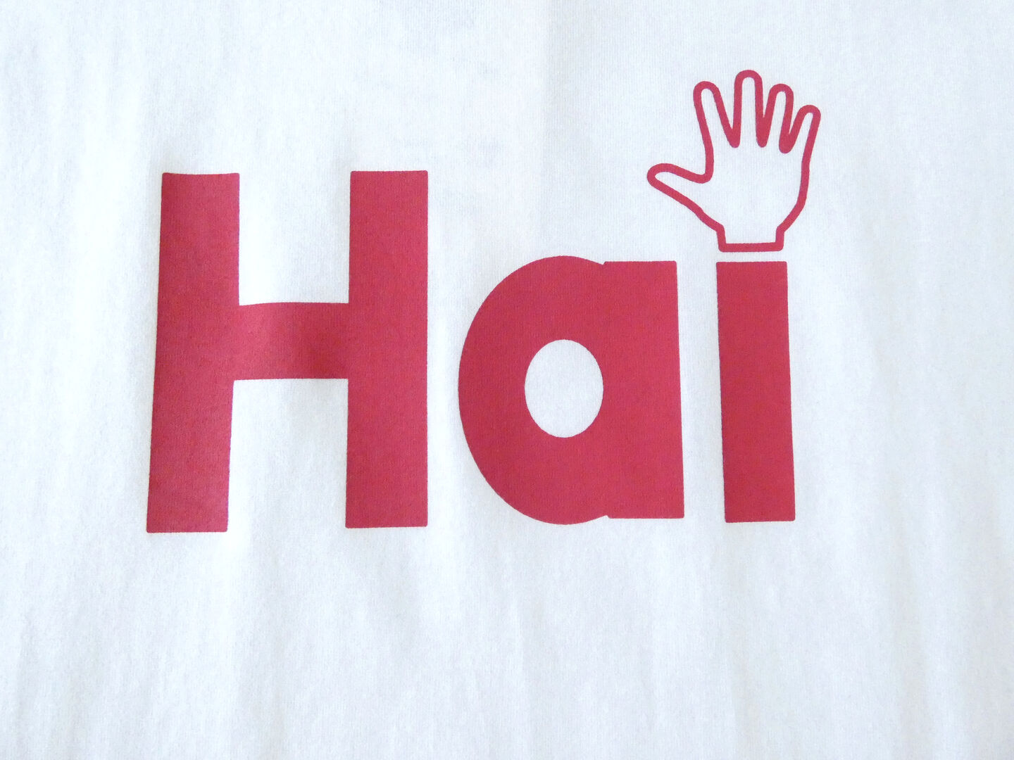 mao made(マオメイド) きれいめ天竺プリント Hai TEEの商品画像31