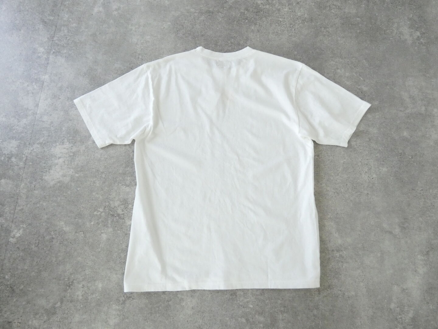 KAPITAL(キャピタル) 天竺クルーT　PECKISHドッグタグプリントの商品画像10