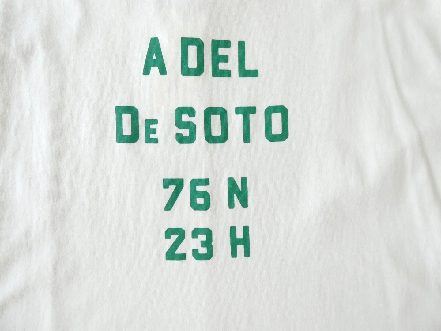 BLUE LAKE MARKET(ブルーレイクマーケット) アメリカンドライ天竺ヘムラウンドプリントTシャツ A DEL DE SOTOの商品画像21