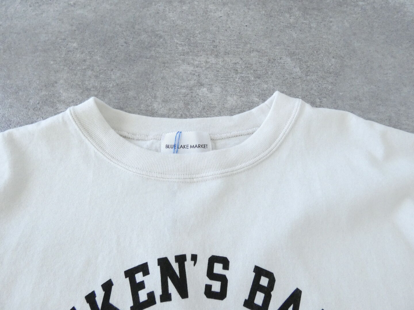 BLUE LAKE MARKET(ブルーレイクマーケット) 17/BD天竺プリントプルオーバー CHIKEN'S BALLの商品画像31