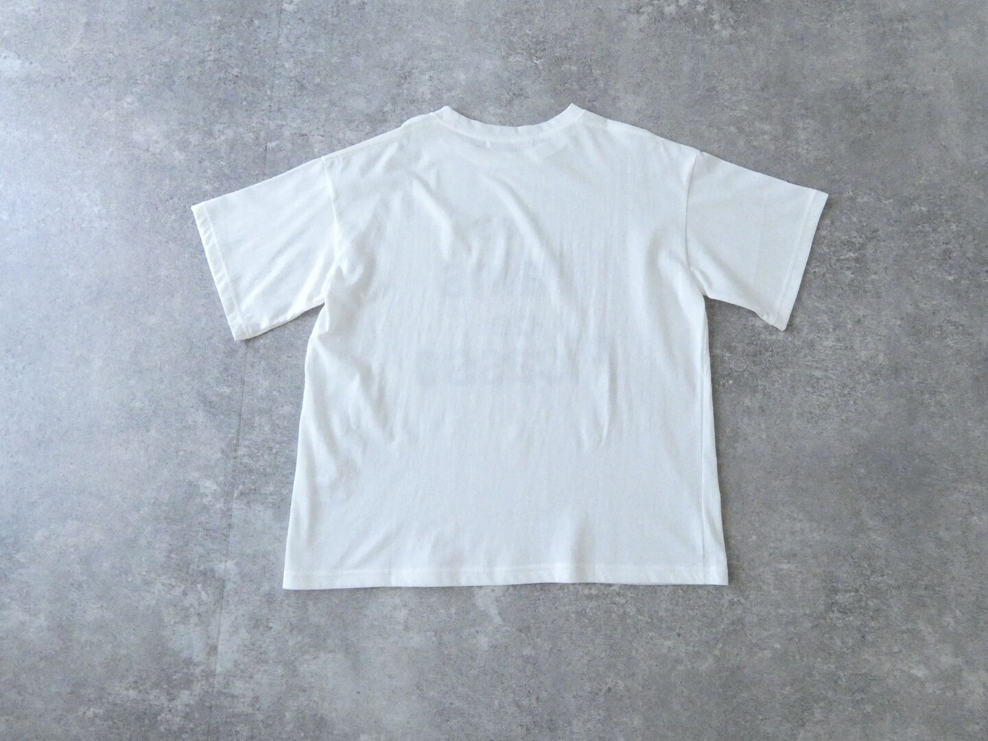 Laboratory(ラボラトリー) ROBERT Tシャツの商品画像29