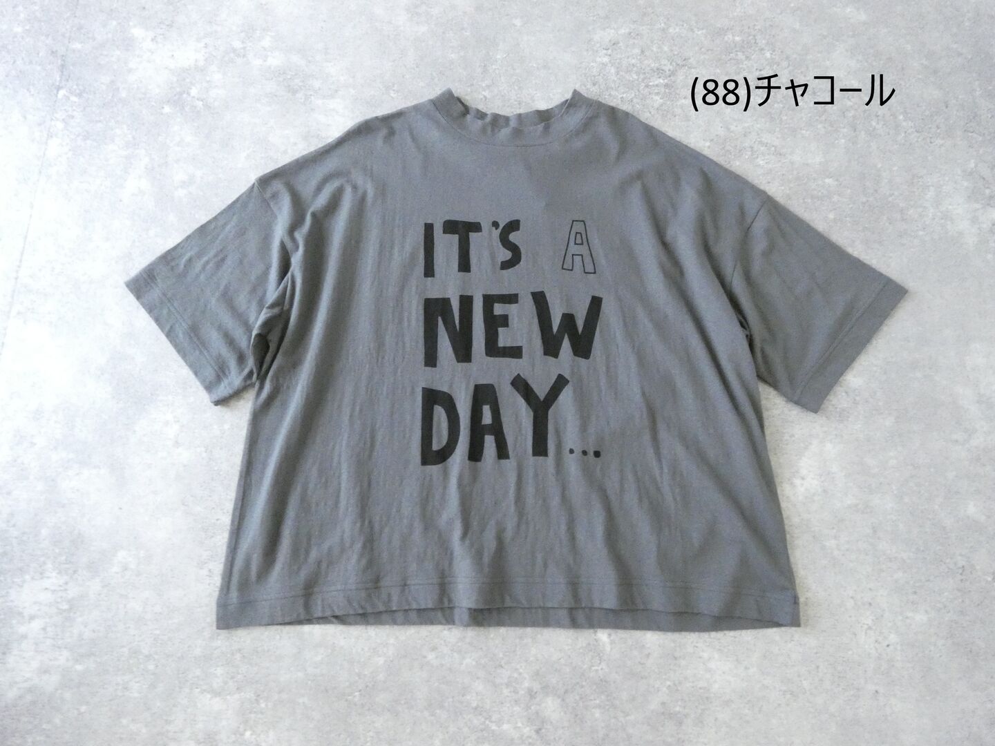 tumugu(ツムグ) ラフィ天竺プリントT  IT'S A NEW DAYの商品画像28