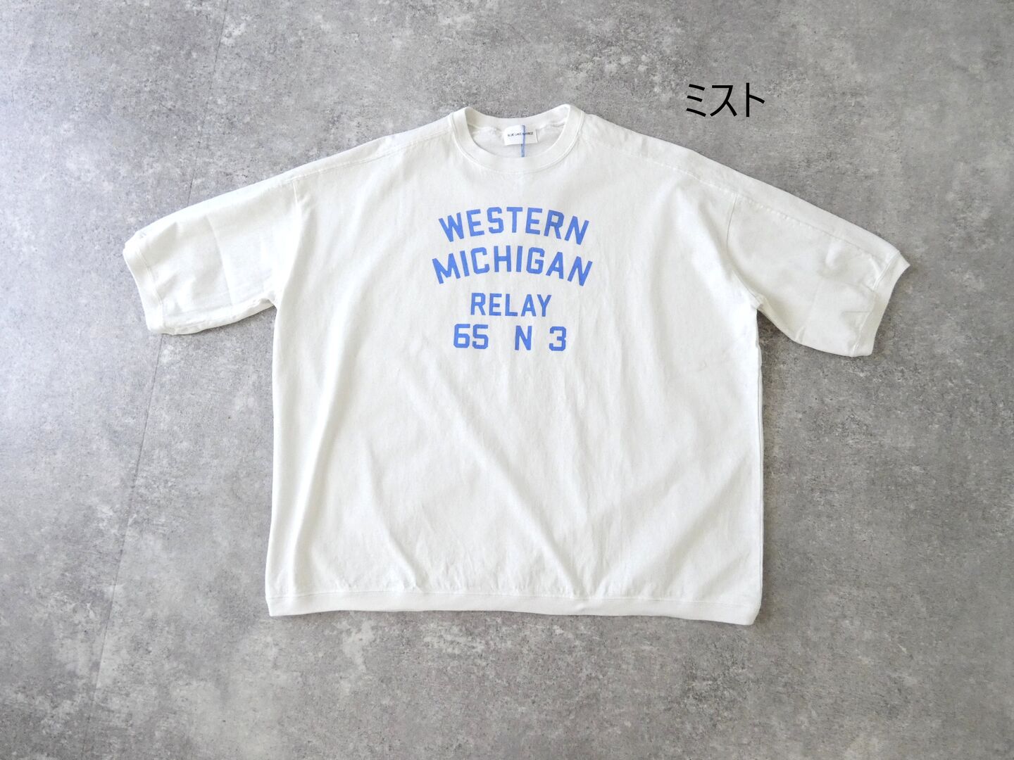 BLUE LAKE MARKET(ブルーレイクマーケット) 天竺ヨーク切替プリントプルオーバー WESTERN MICHIGANの商品画像42
