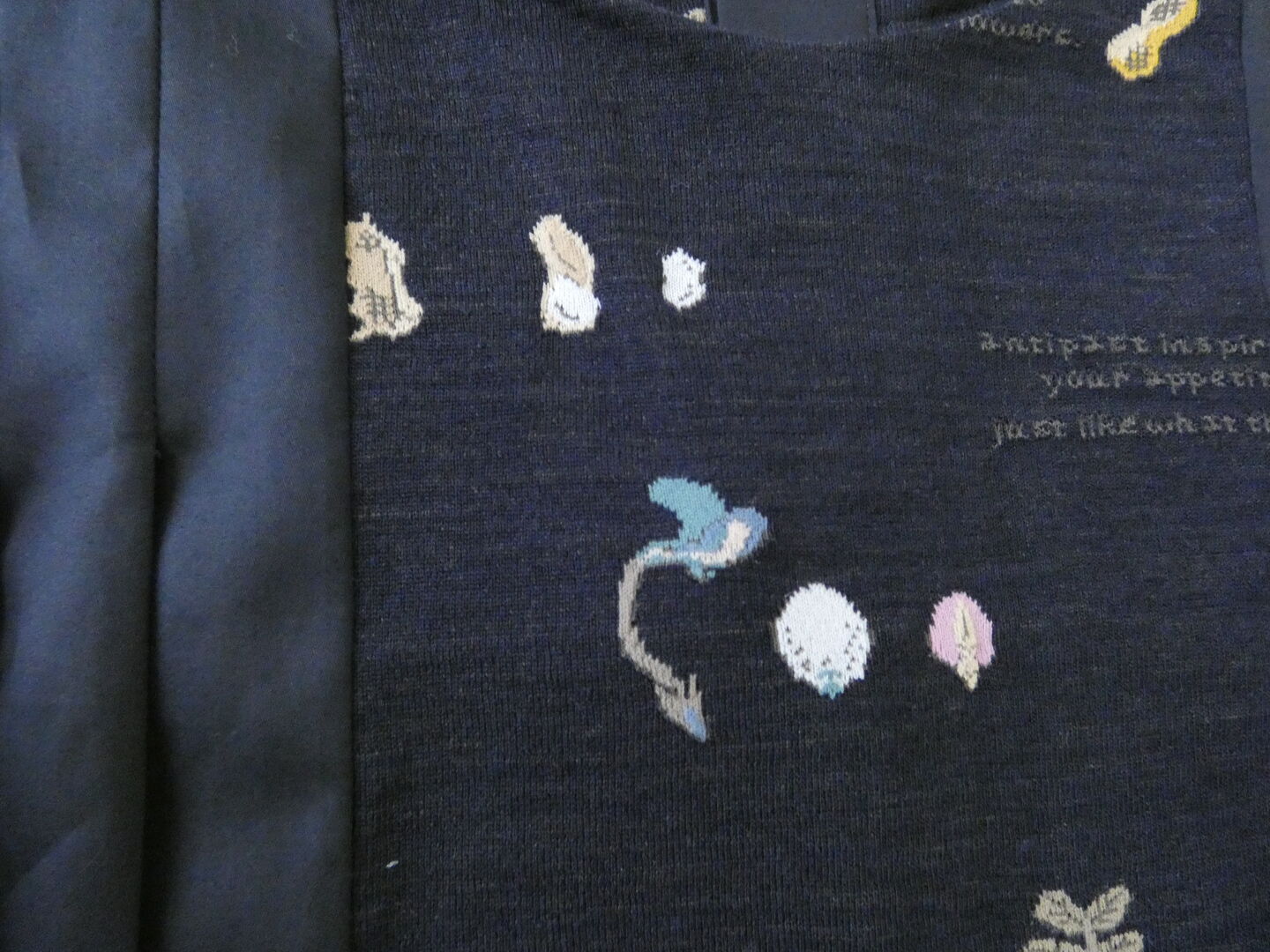 ANTIPAST(アンティパスト) PEANUT TREE SOCK KNIT DEWSSの商品画像28