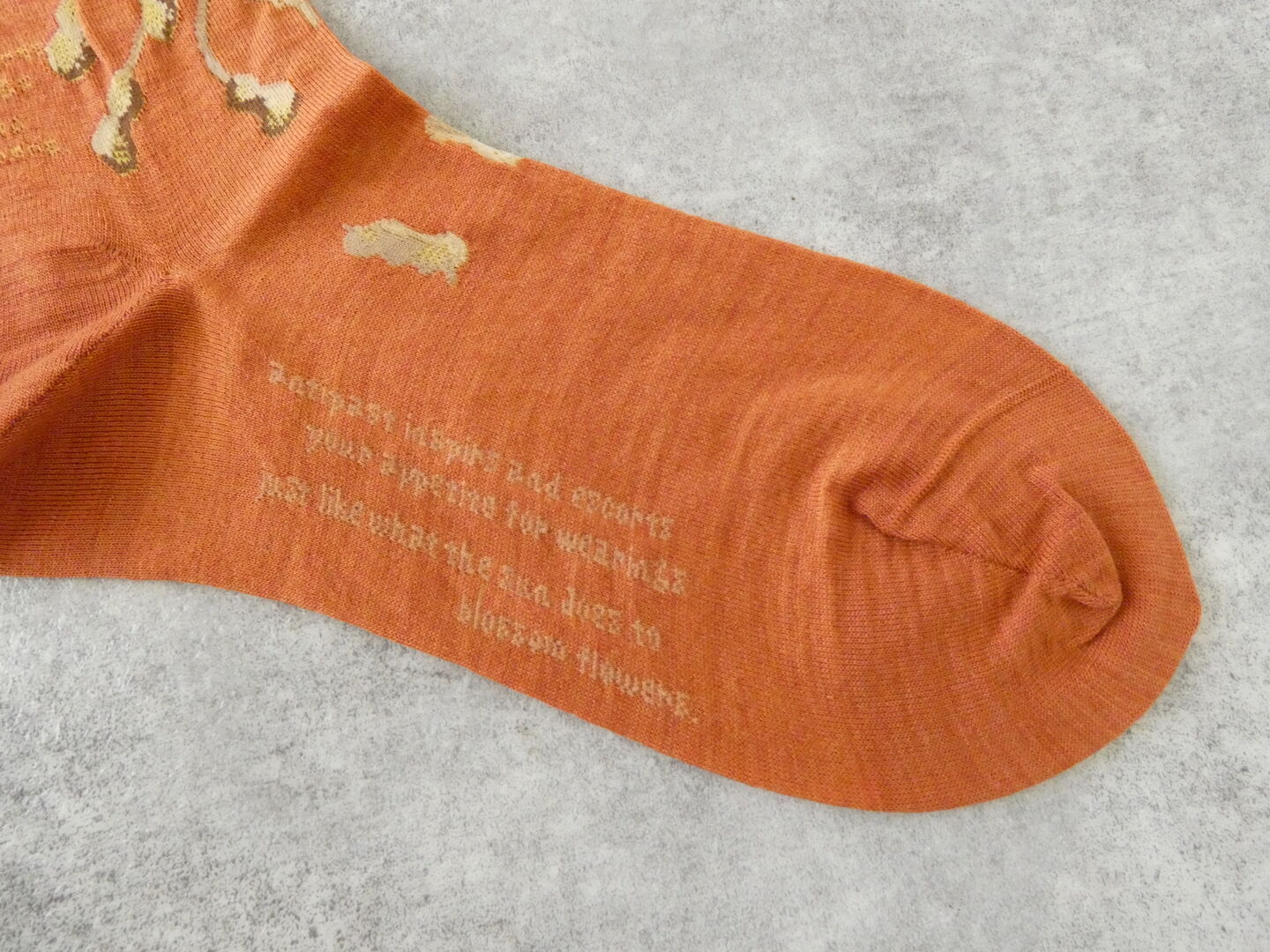 ANTIPAST(アンティパスト) PEANUT TREE SOCKSの商品画像30