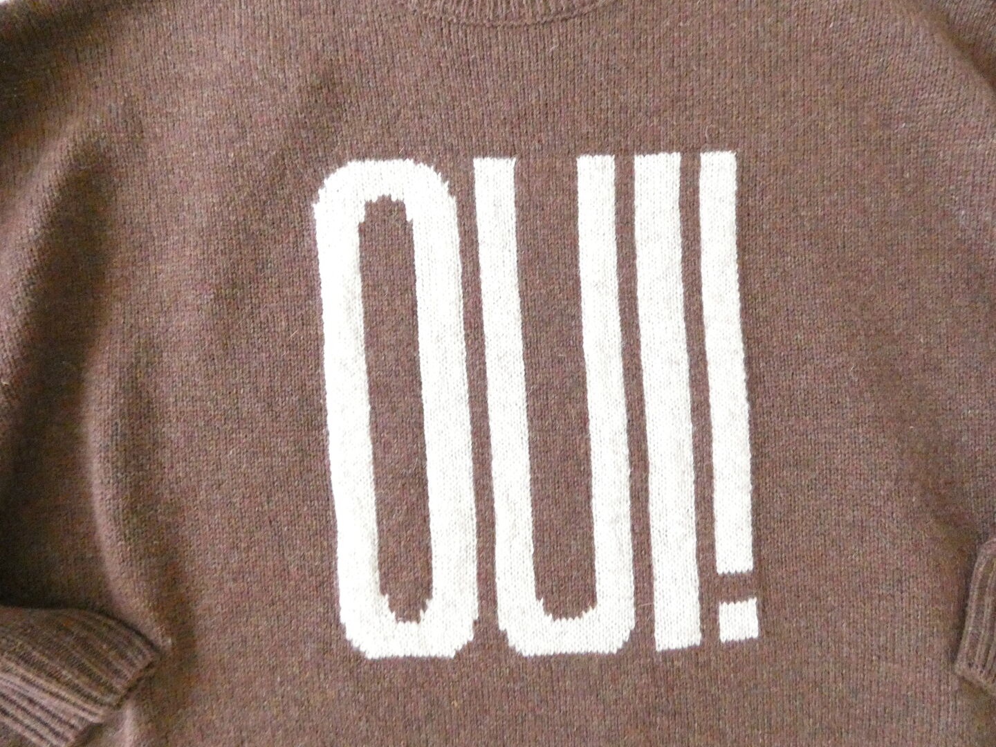 ichi(イチ) シェットランドウール PULLOVER「OUI!」の商品画像19
