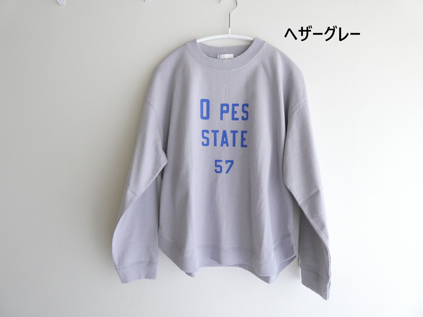 BLUE LAKE MARKET(ブルーレイクマーケット) アメリカンドライ天竺ヘムラウンドプリントロンTの商品画像28