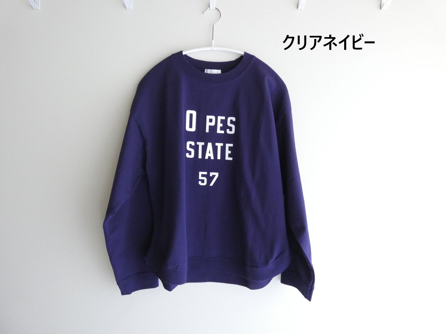 BLUE LAKE MARKET(ブルーレイクマーケット) アメリカンドライ天竺ヘムラウンドプリントロンTの商品画像42