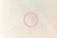 革見本1
