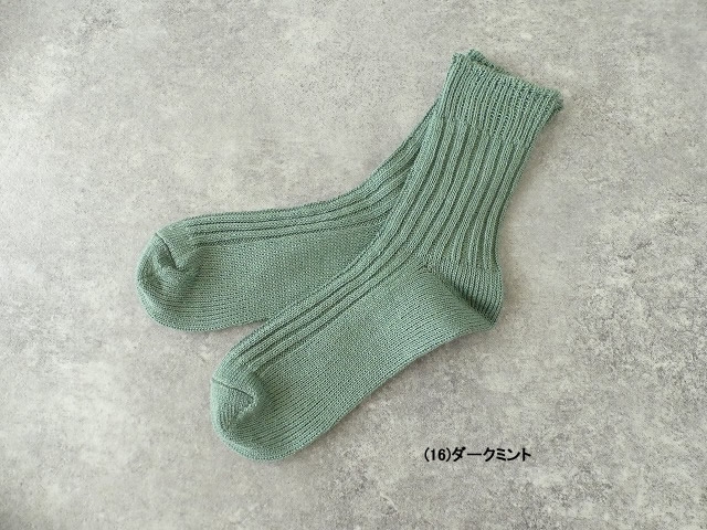 サニーソックスの商品画像6